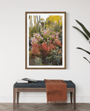 Wayne Ford Studio Photography Print Cactus Garden II